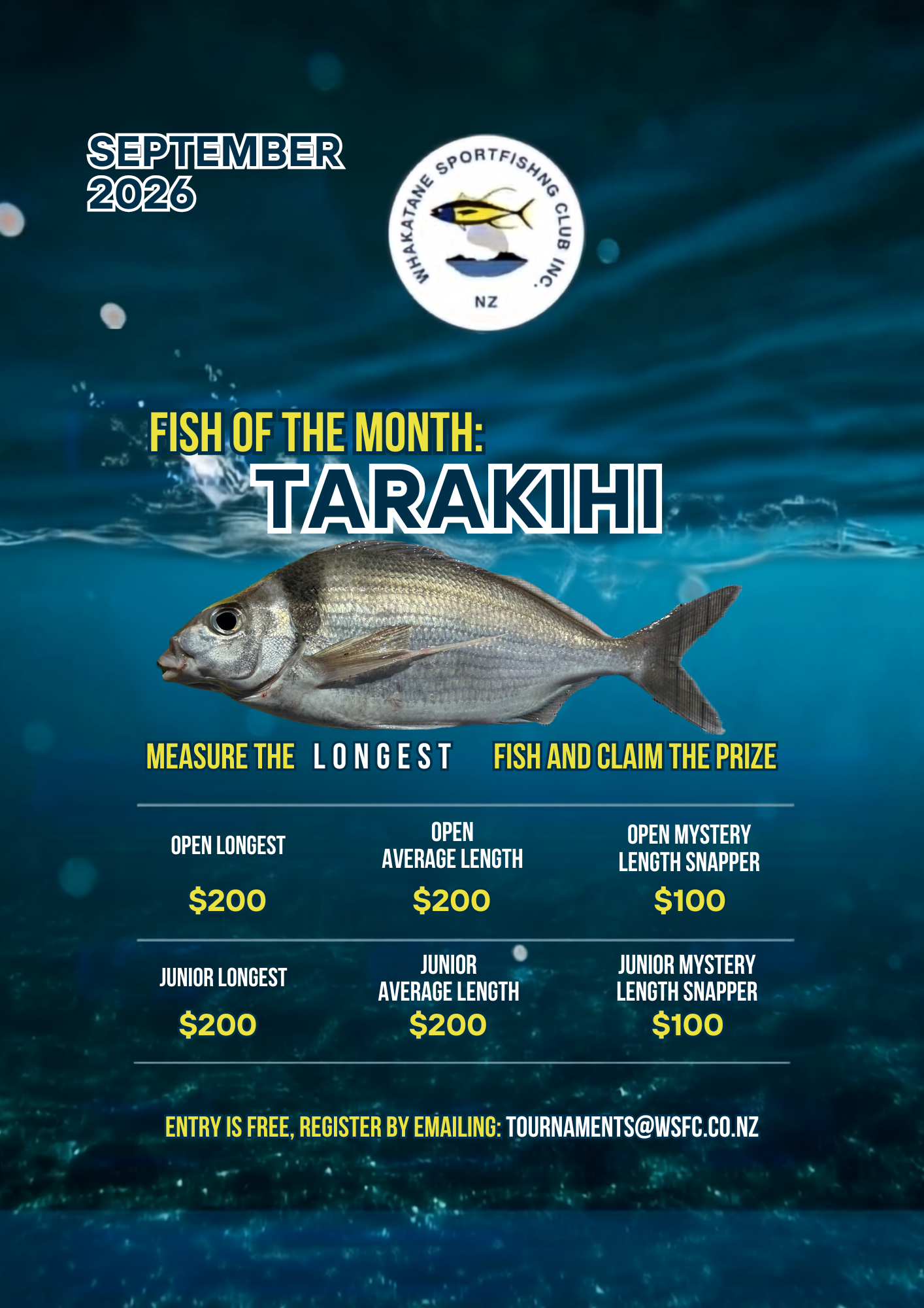 Whakatane Sport Fishing Club monthly competition poster. This moth Tarakihi