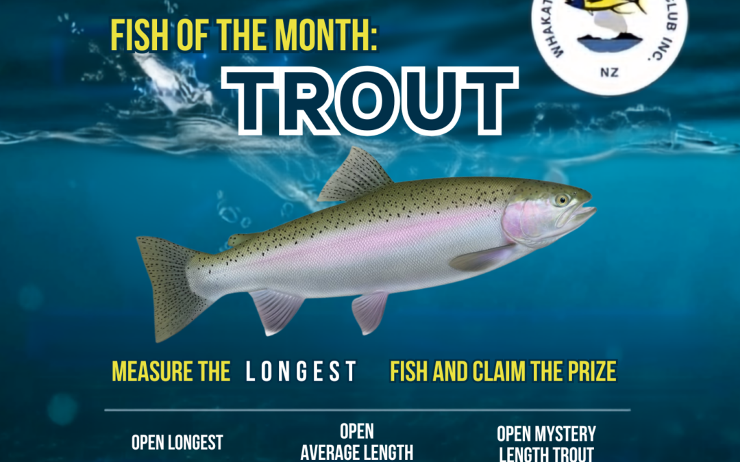 Whakatane Sport Fishing Club monthly competition poster. This moth Trout.